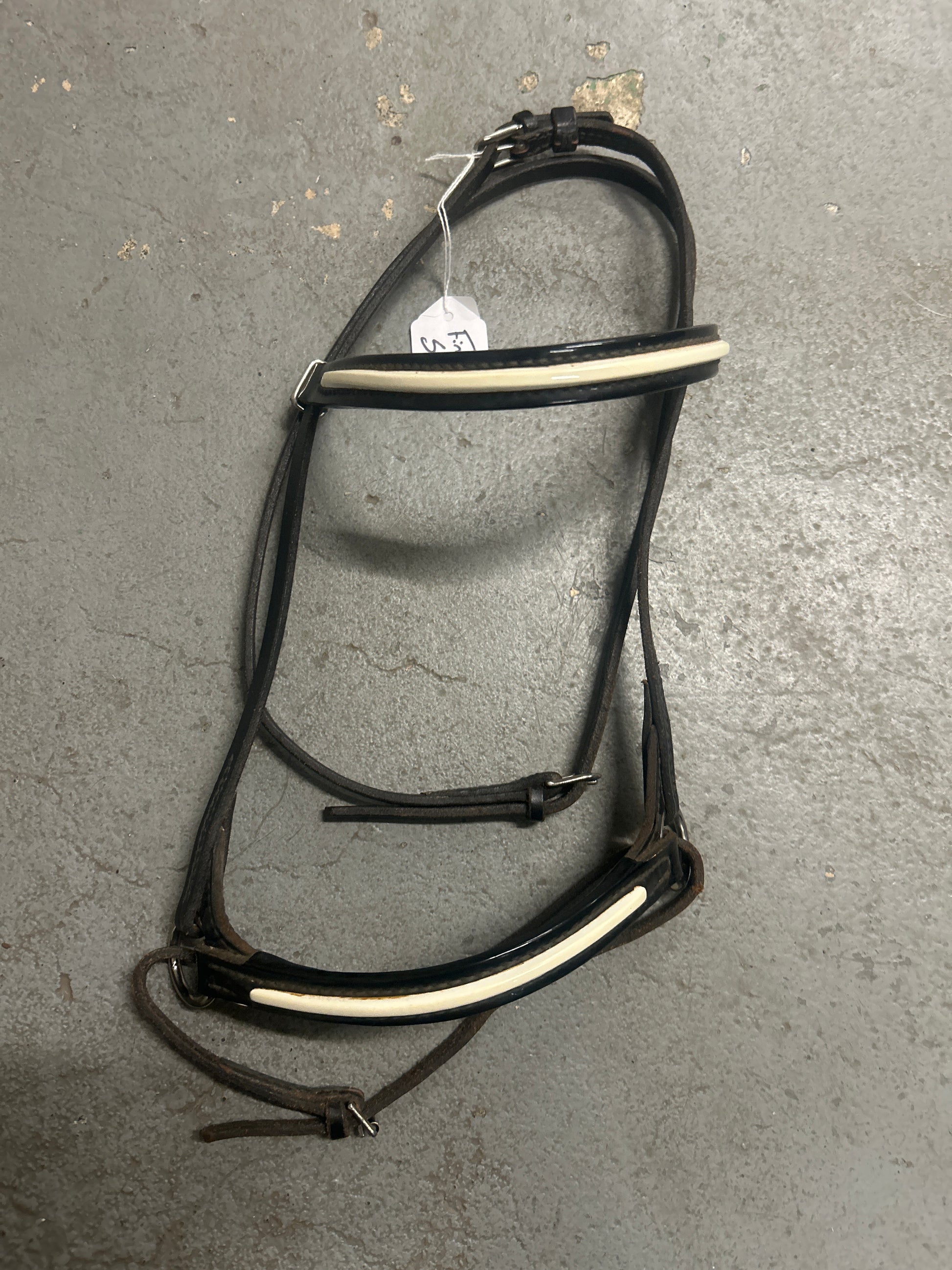 Champion Turf Foal Show Halter-Horse Halters-Consignment-Evolution Equestrian Co.