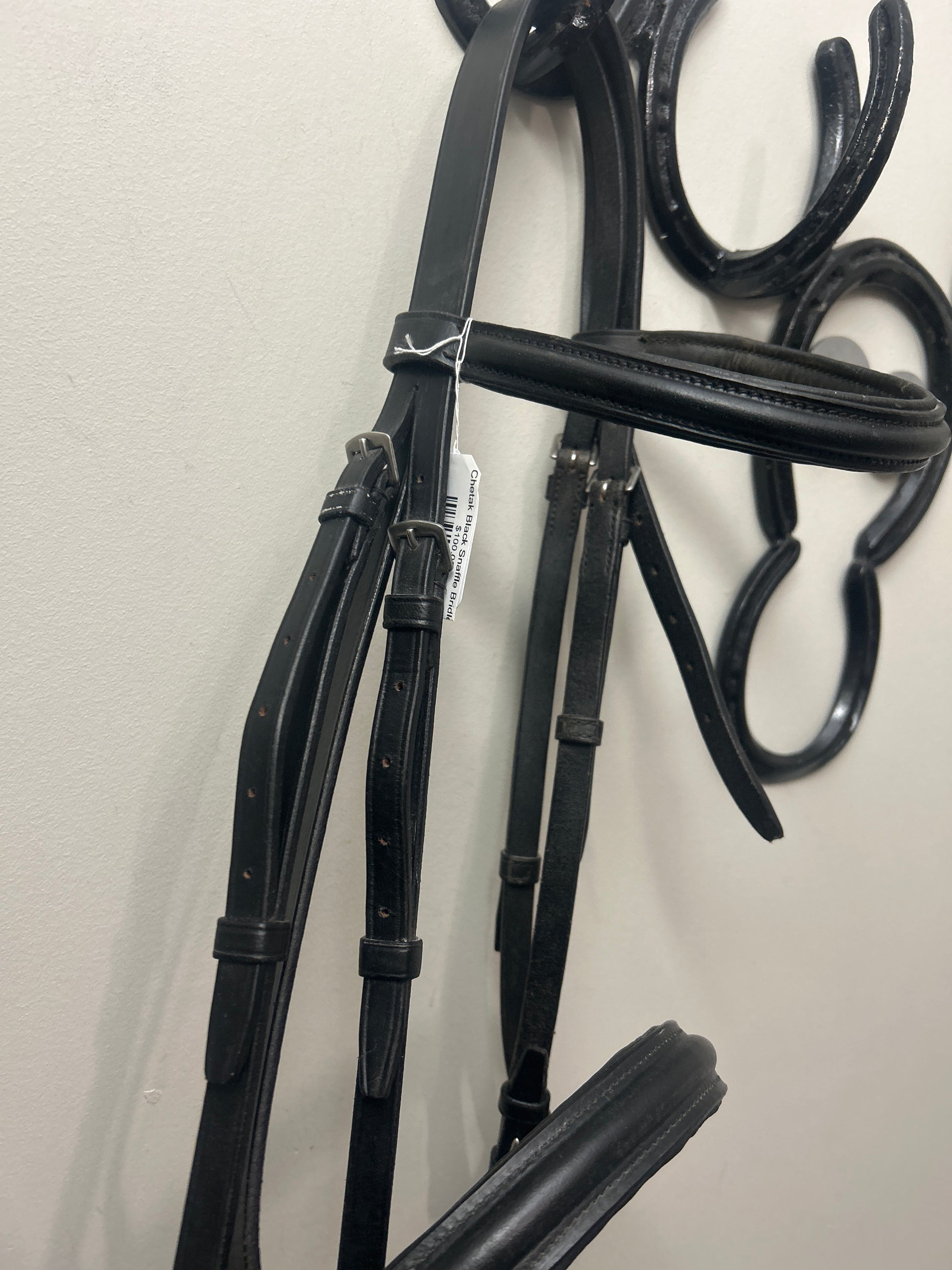 Chetak Black Snaffle Bridle-Bridle-Consignment-Evolution Equestrian Co.