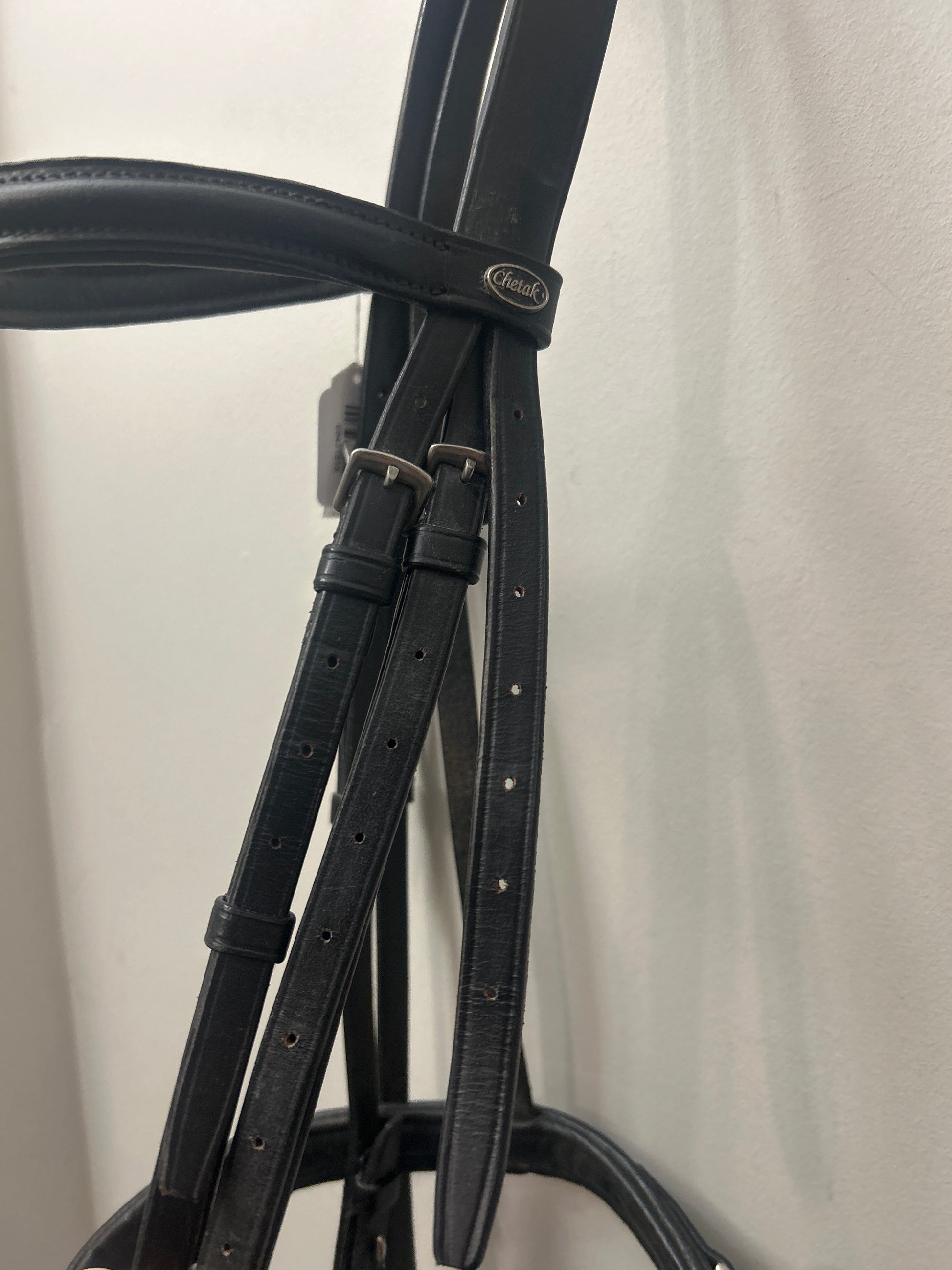 Chetak Black Snaffle Bridle-Bridle-Consignment-Evolution Equestrian Co.