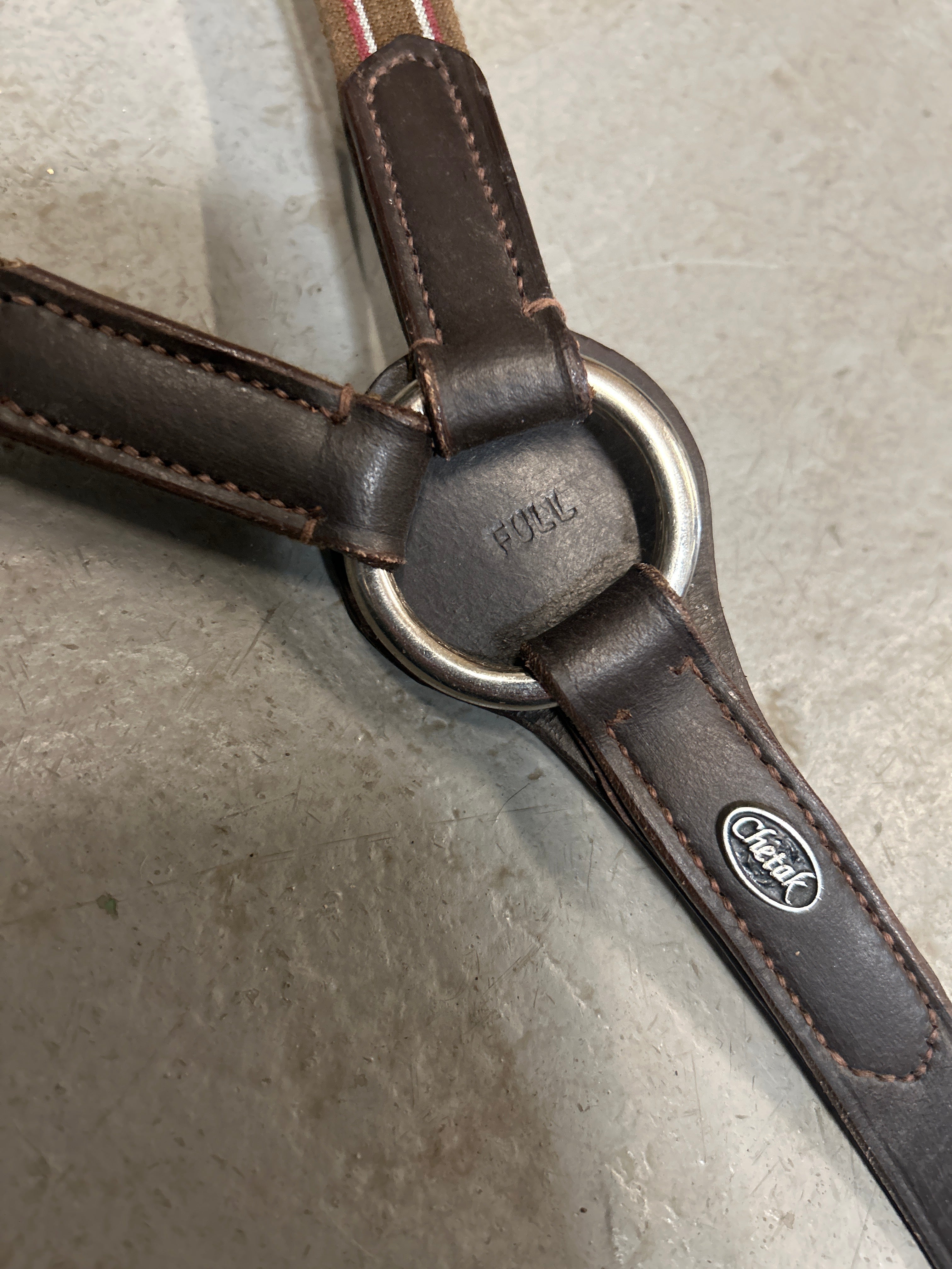 Chetak Elastic Breastplate-English Accessories-Consignment-Evolution Equestrian Co.