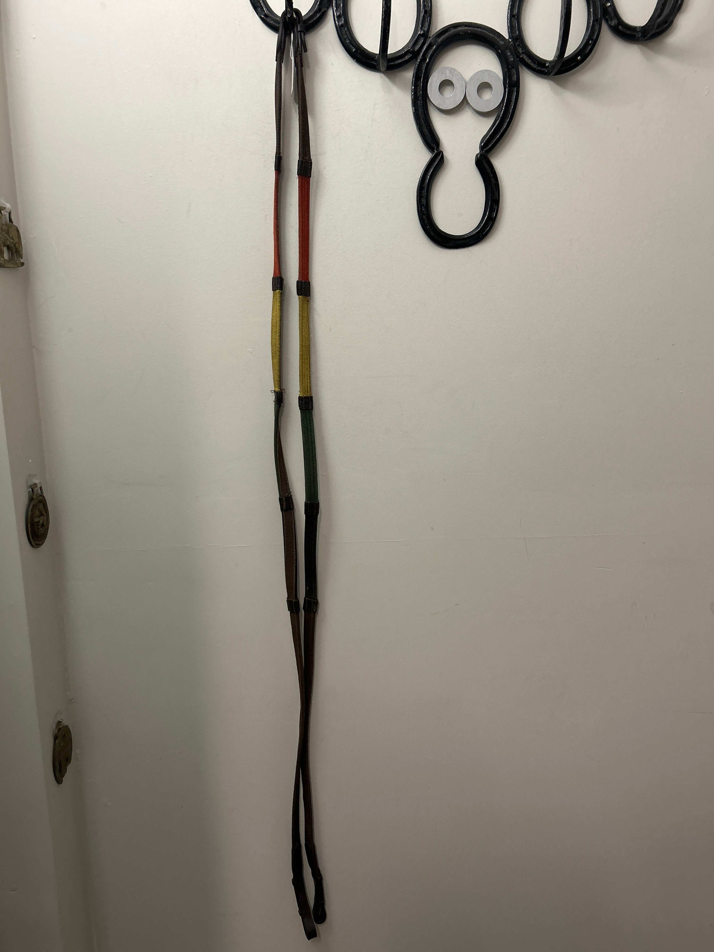 Coloured Webbed Reins-English Reins-Consignment-Evolution Equestrian Co.