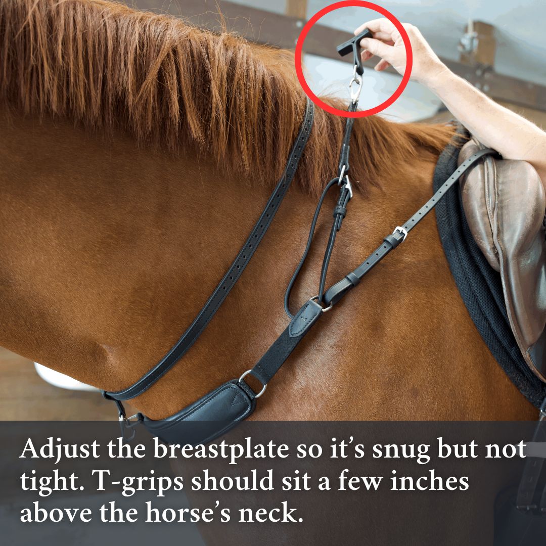 Correct Connect 3 in 1 Training Breastplate-English Tack-Consignment-Evolution Equestrian Co.