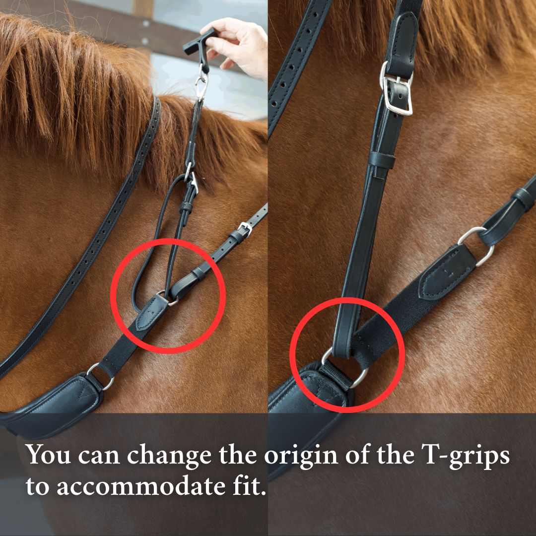 Correct Connect 3 in 1 Training Breastplate-English Tack-Consignment-Evolution Equestrian Co.