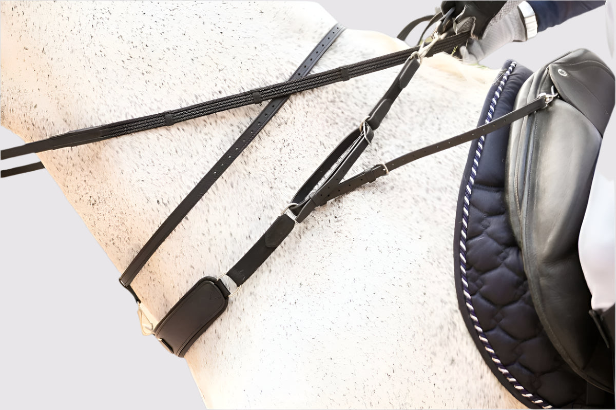 Correct Connect 3 in 1 Training Breastplate-English Tack-Consignment-Evolution Equestrian Co.