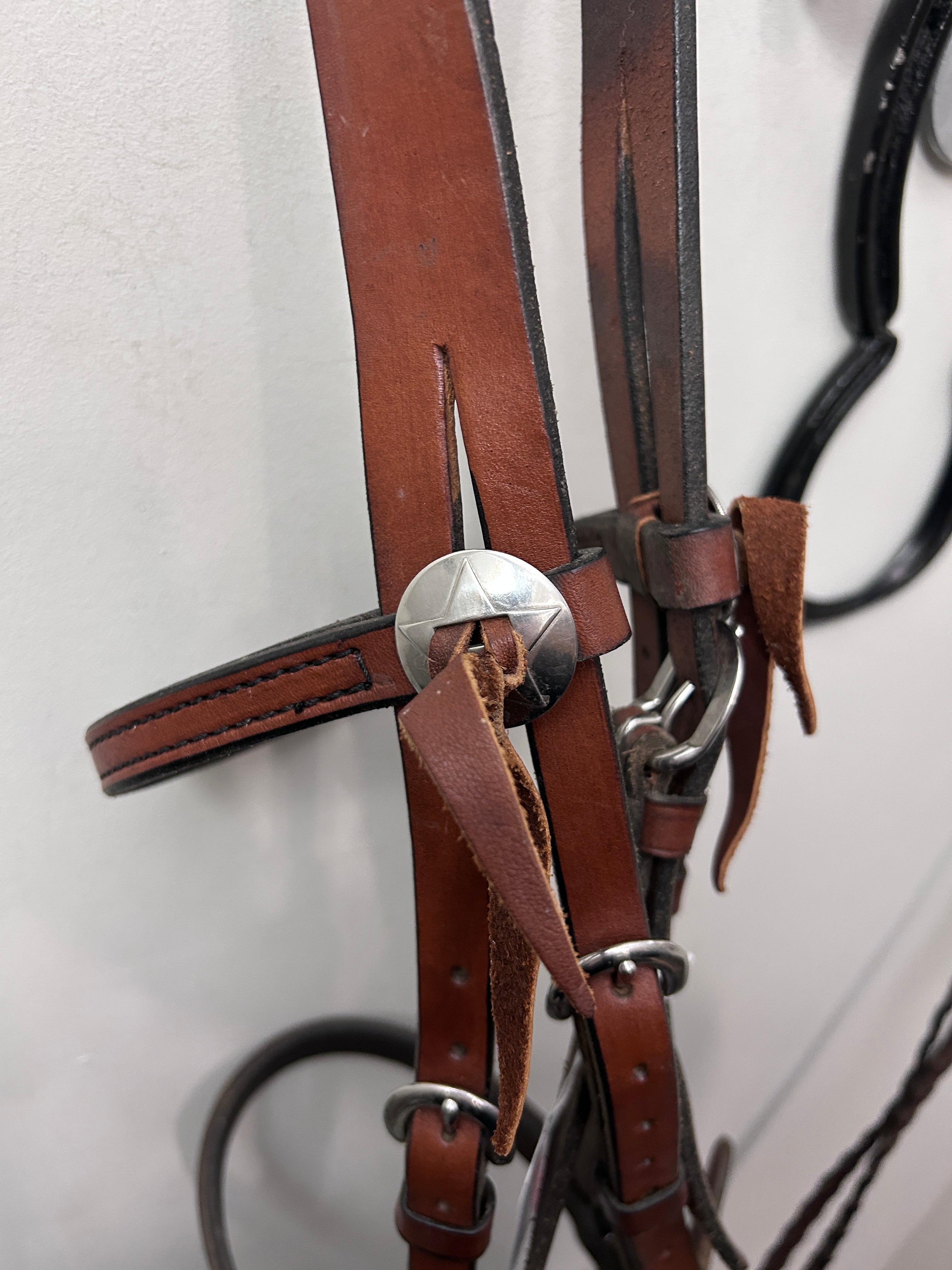 Cross Under Bitless Bridle with Conchos-Bridle-Consignment-Evolution Equestrian Co.