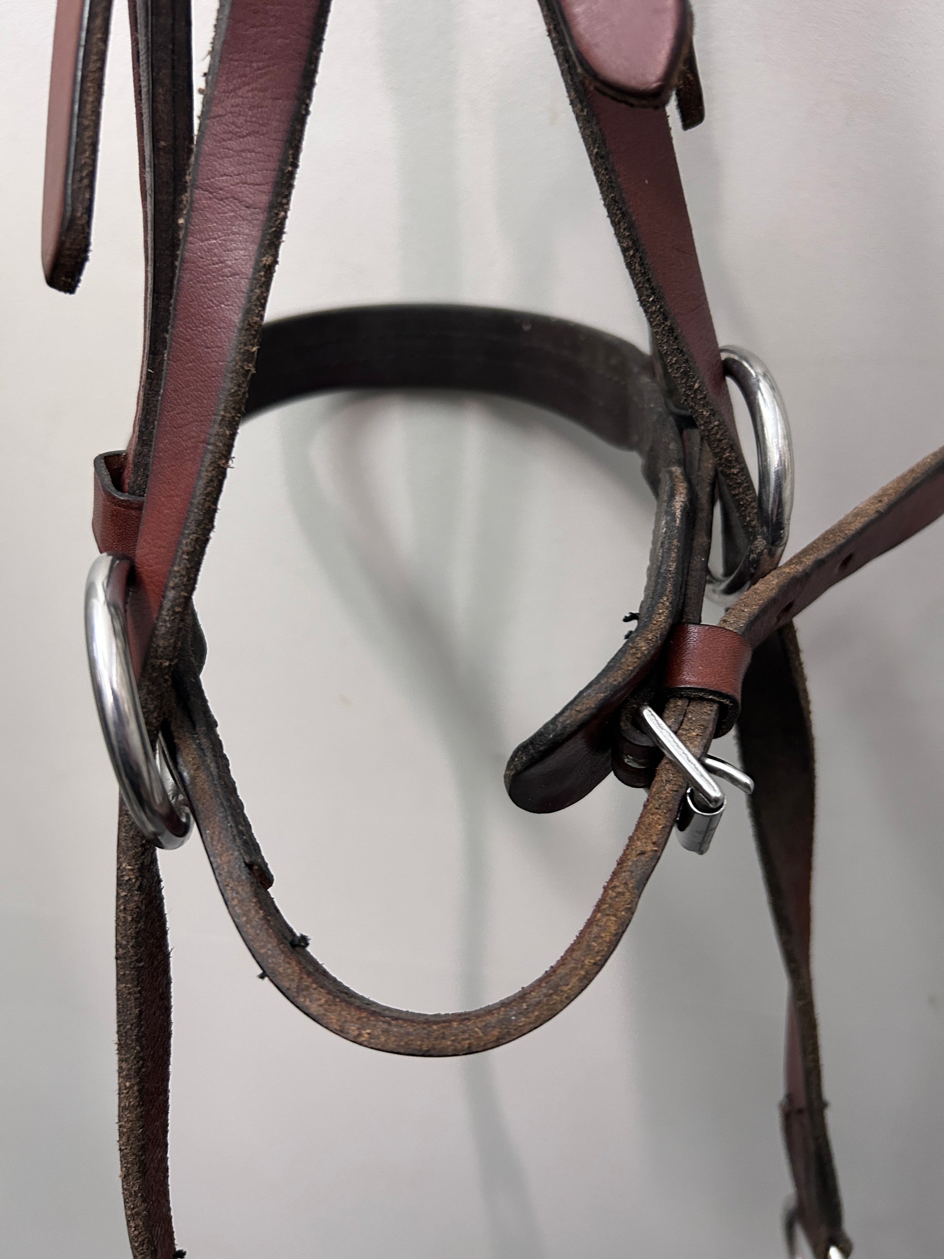 Cross Under Bitless Bridle with Conchos-Bridle-Consignment-Evolution Equestrian Co.