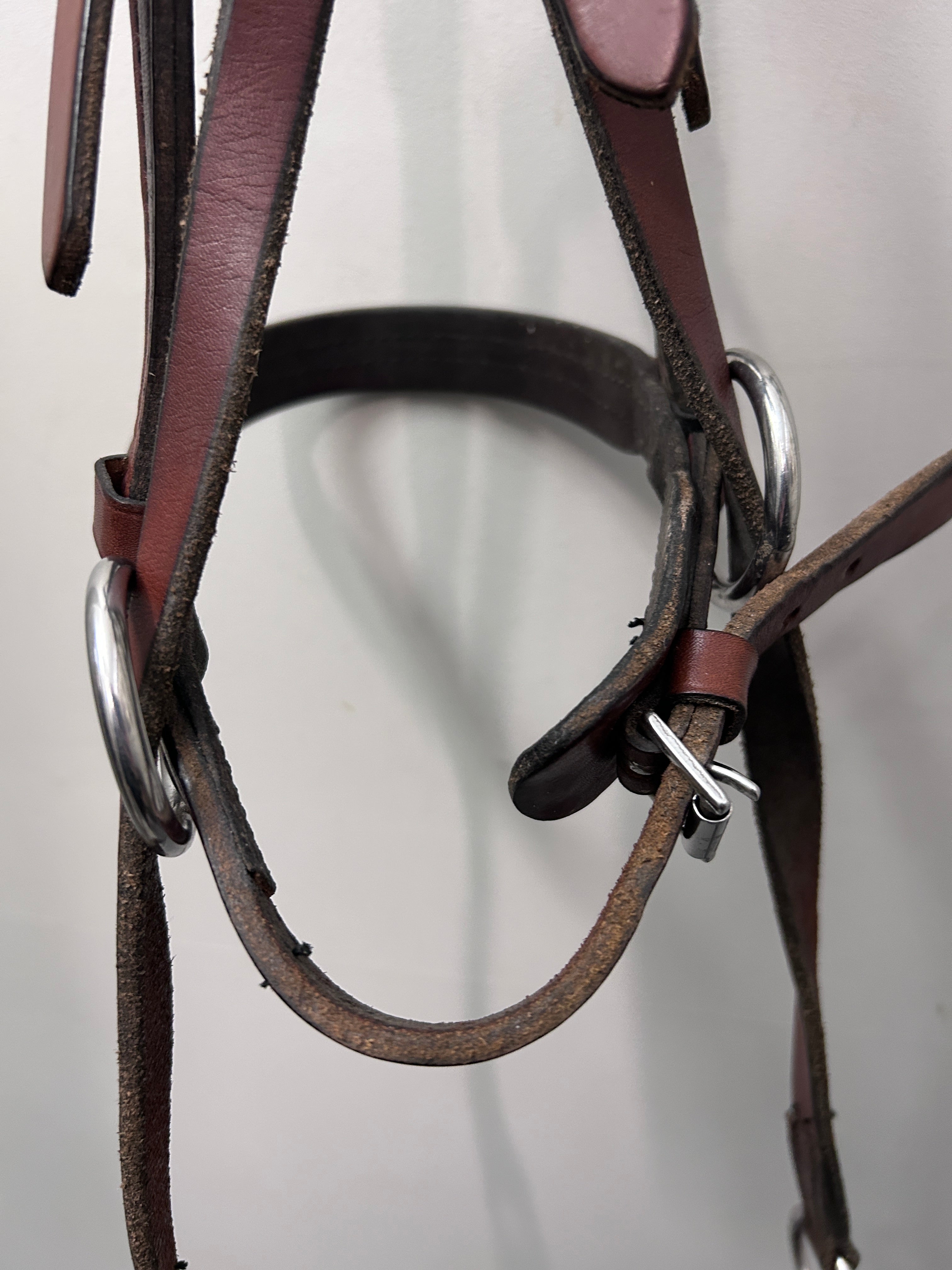 Cross Under Bitless Bridle with Conchos-Bridle-Consignment-Evolution Equestrian Co.