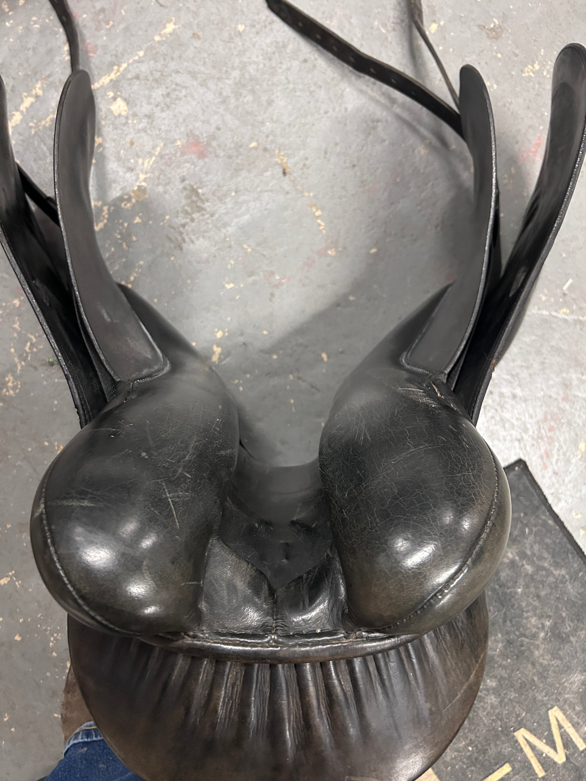 16.5" Regal Dressage Saddle