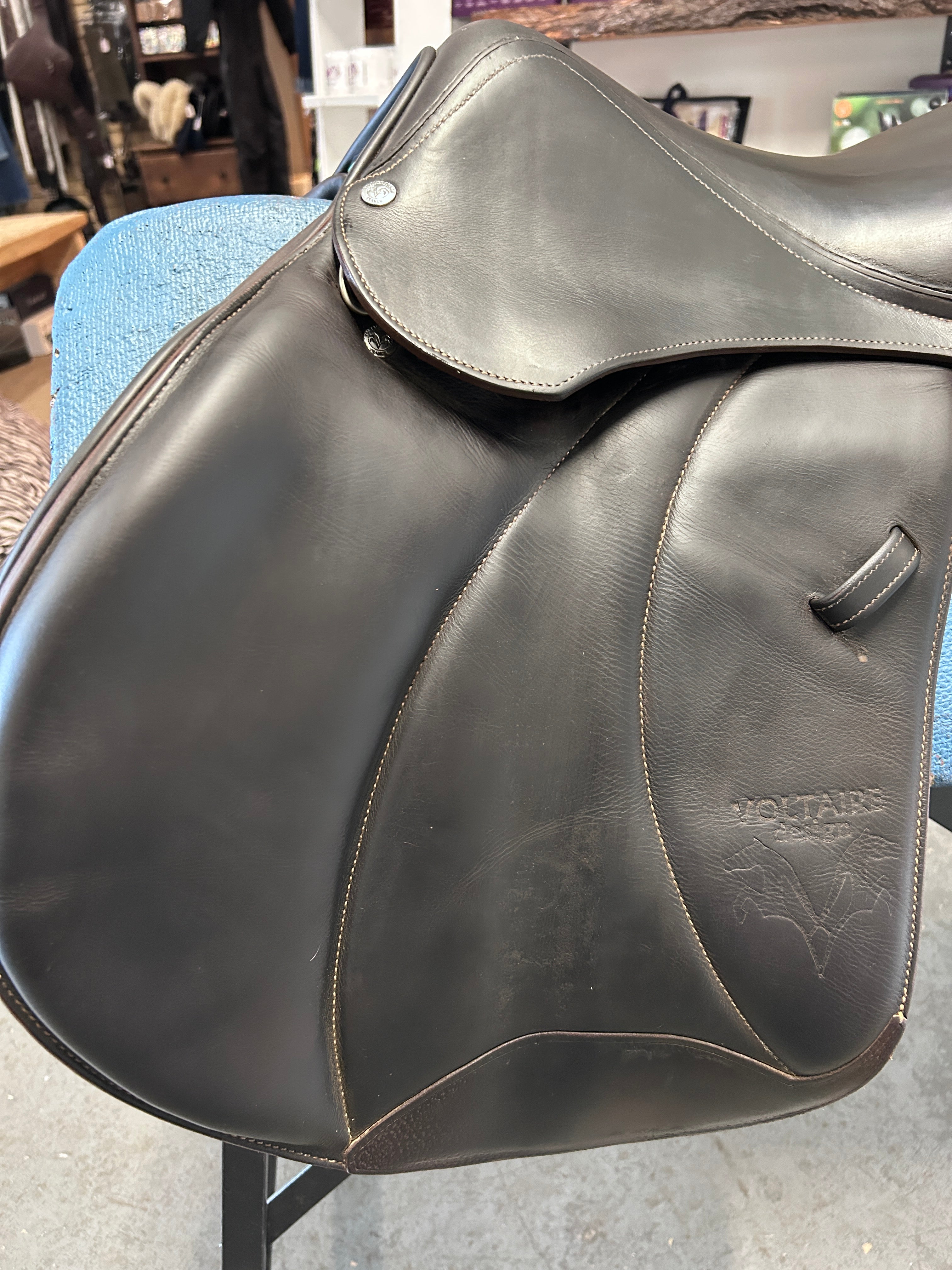 17" Voltaire Palm Beach 3AA