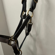 Load image into Gallery viewer, Leather Halter - Small Horse
