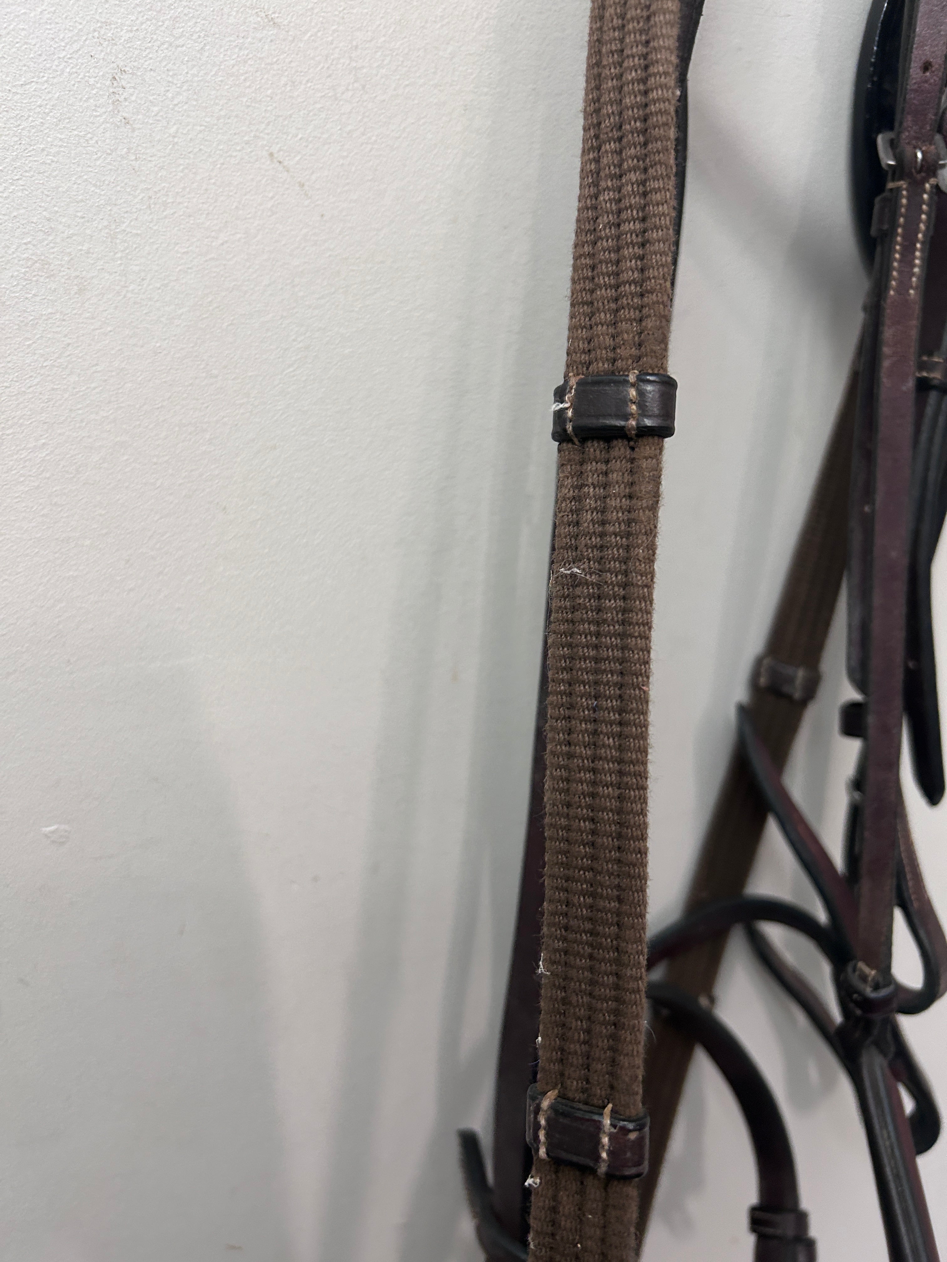 HDR English Bridle with Flash and Reins