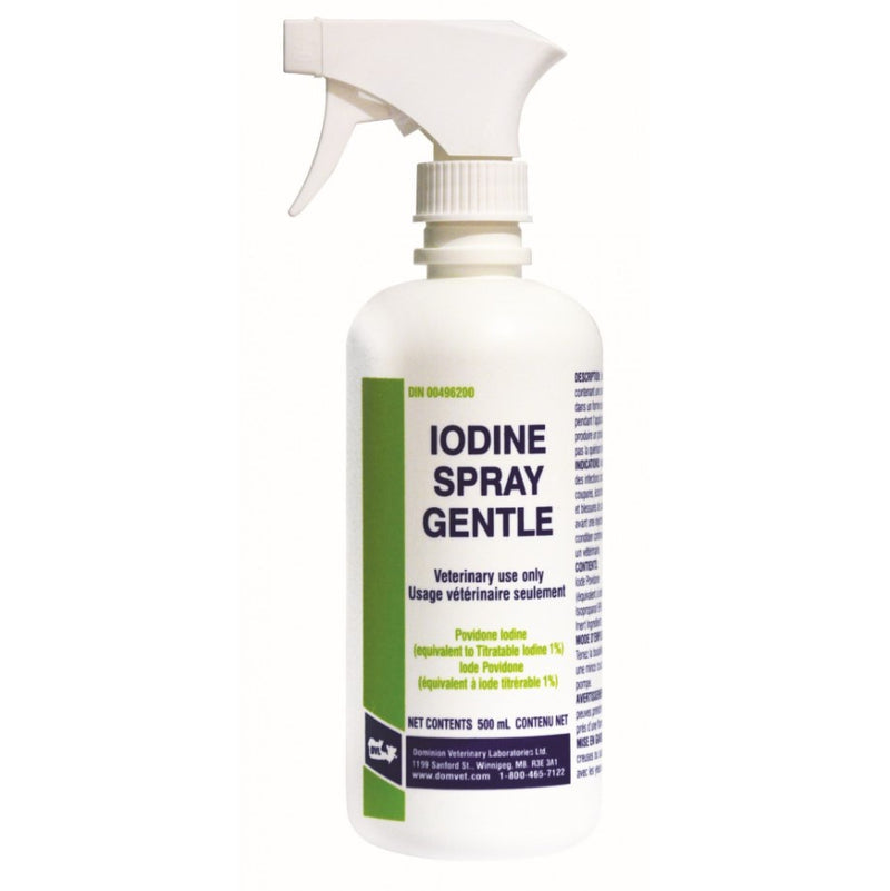 DVL Antiseptic Iodine Gentle 1% Spray