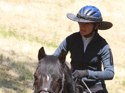 Da Brim Helmet Visor Brim-Accessories-Consignment-Evolution Equestrian Co.