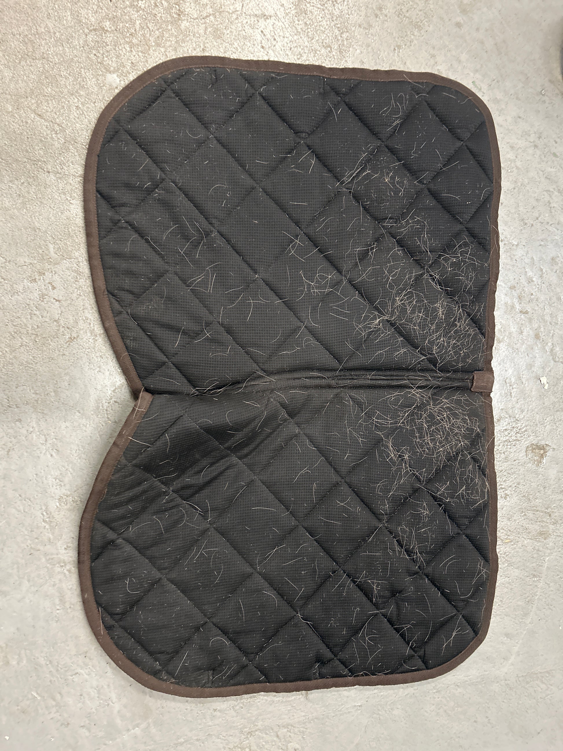 Dreamers & Schemers Chicken English Saddle Pad-English Saddle Pad-Consignment-Evolution Equestrian Co.
