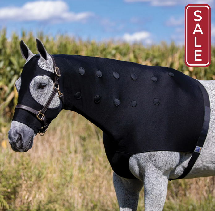 Dura-Tech Magnetic Horse Sleazy Medium-Horse Wear-Consignment-Evolution Equestrian Co.