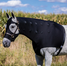 Load image into Gallery viewer, Dura-Tech Magnetic Horse Sleazy Medium-Horse Wear-Consignment-Evolution Equestrian Co.
