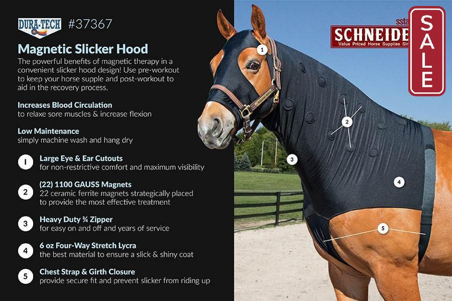 Dura-Tech Magnetic Horse Sleazy Medium-Horse Wear-Consignment-Evolution Equestrian Co.