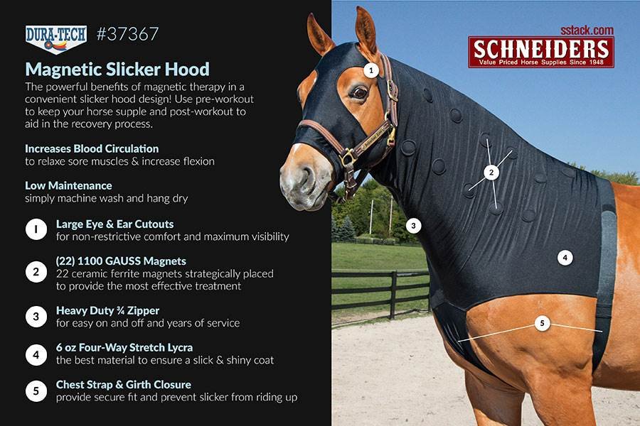 Dura-Tech Magnetic Horse Sleazy Medium-Horse Wear-Consignment-Evolution Equestrian Co.