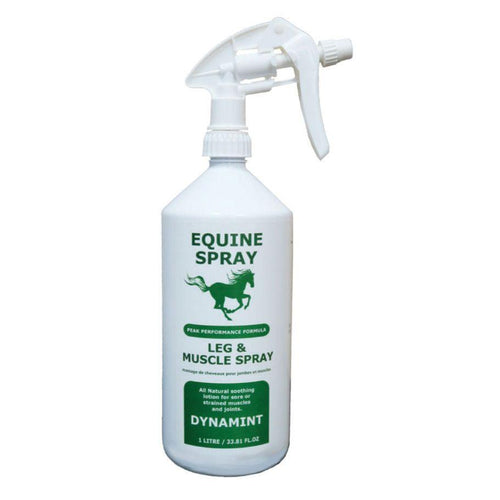 Dynamint Equine Leg and Muscle Spray-Horse Care-Canadian Centurion Supply-Evolution Equestrian Co.