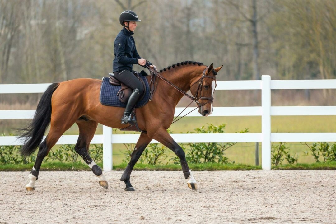 D'yon Rope Draw Reins-English Reins-Consignment-Evolution Equestrian Co.