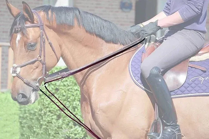 D'yon Rope Draw Reins-English Reins-Consignment-Evolution Equestrian Co.
