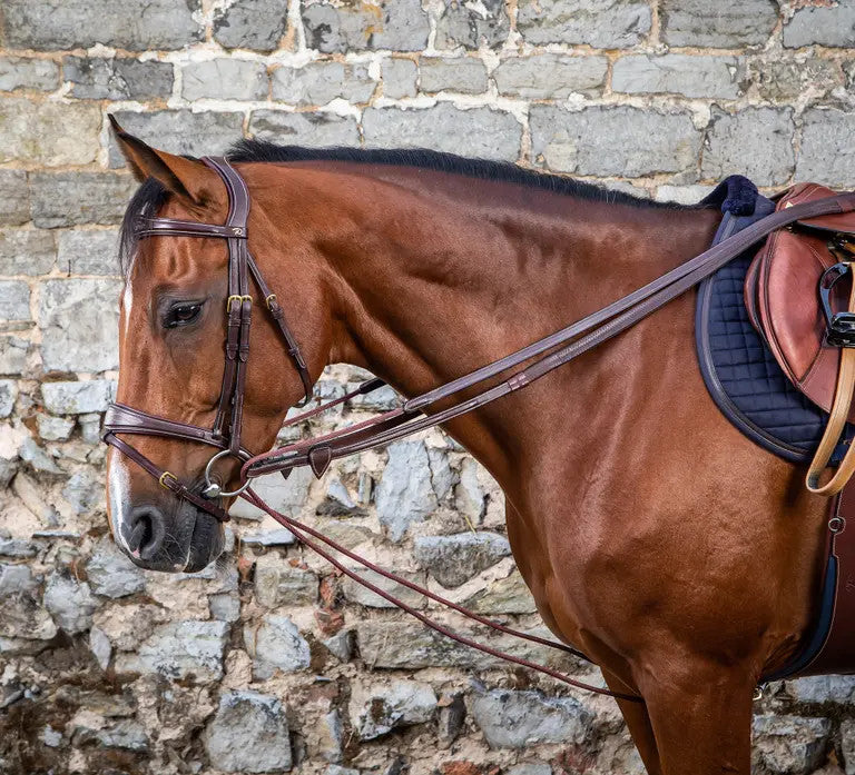 D'yon Rope Draw Reins-English Reins-Consignment-Evolution Equestrian Co.