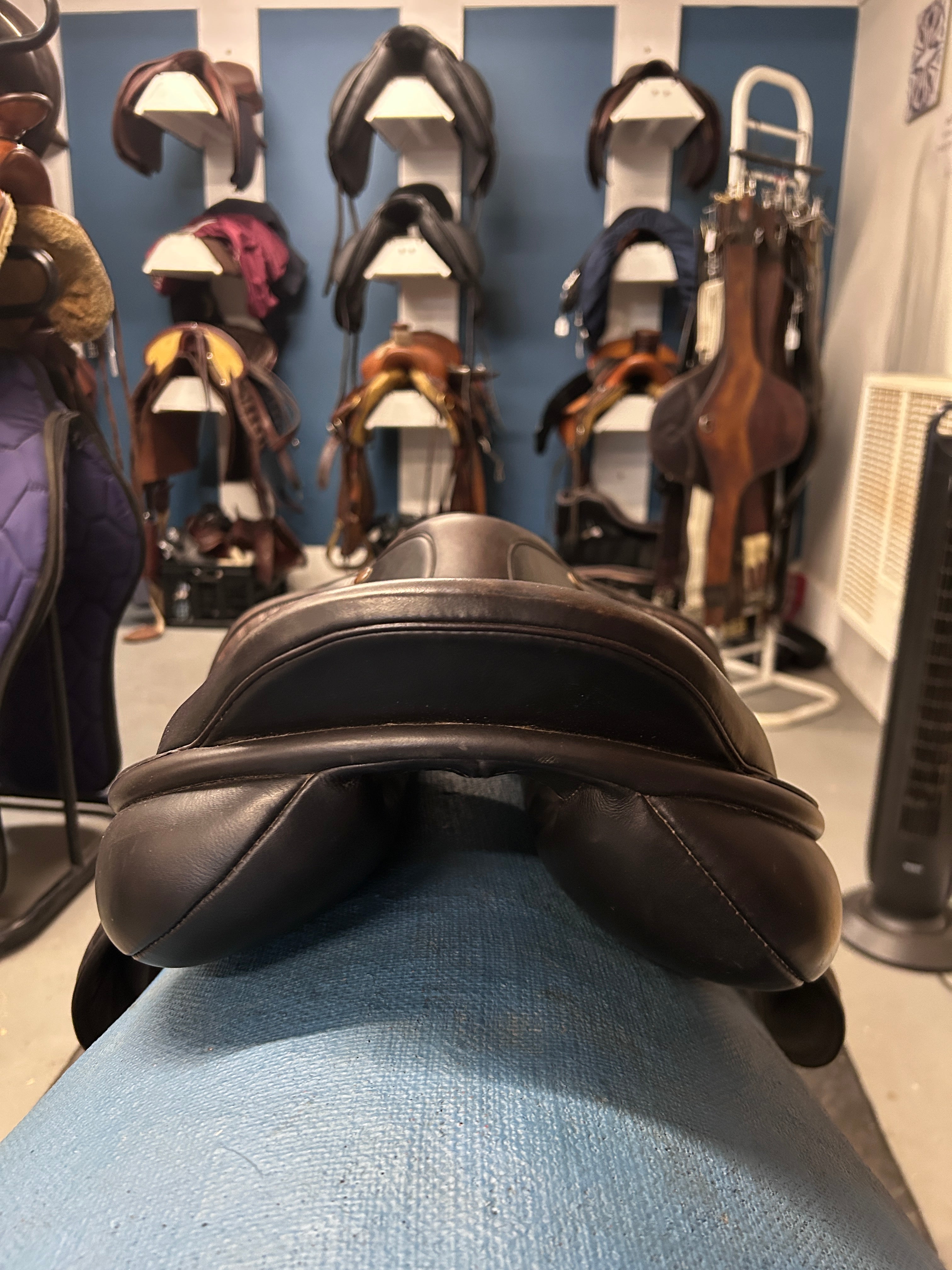 17.5" NSC Cordelia Jump Saddle