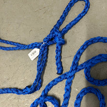 Load image into Gallery viewer, Blue Mule Tape Halter with Lead
