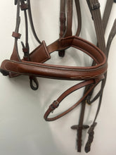 Load image into Gallery viewer, Kentaur English Bridle with Flash and Reins
