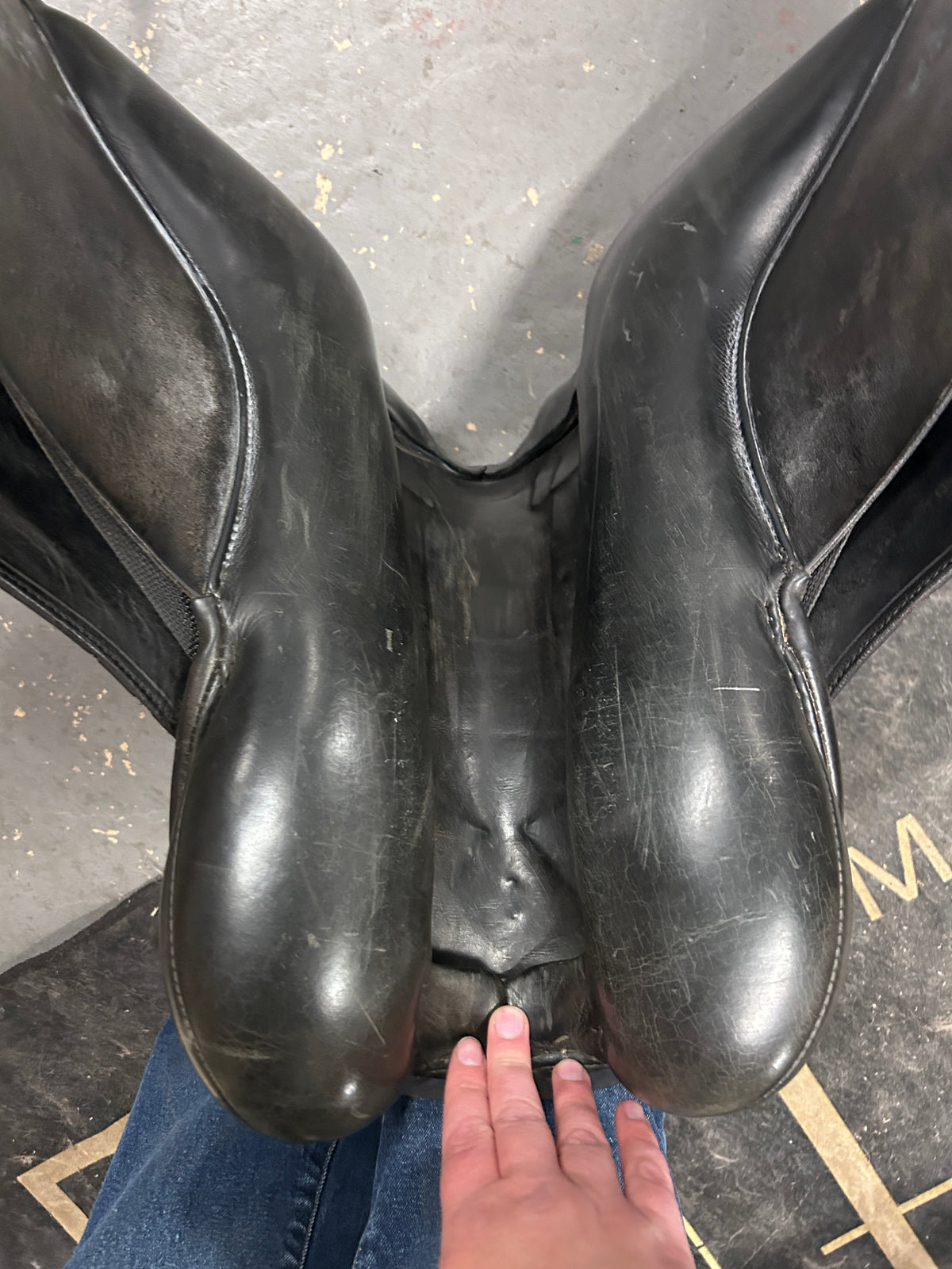 16.5" Regal Dressage Saddle