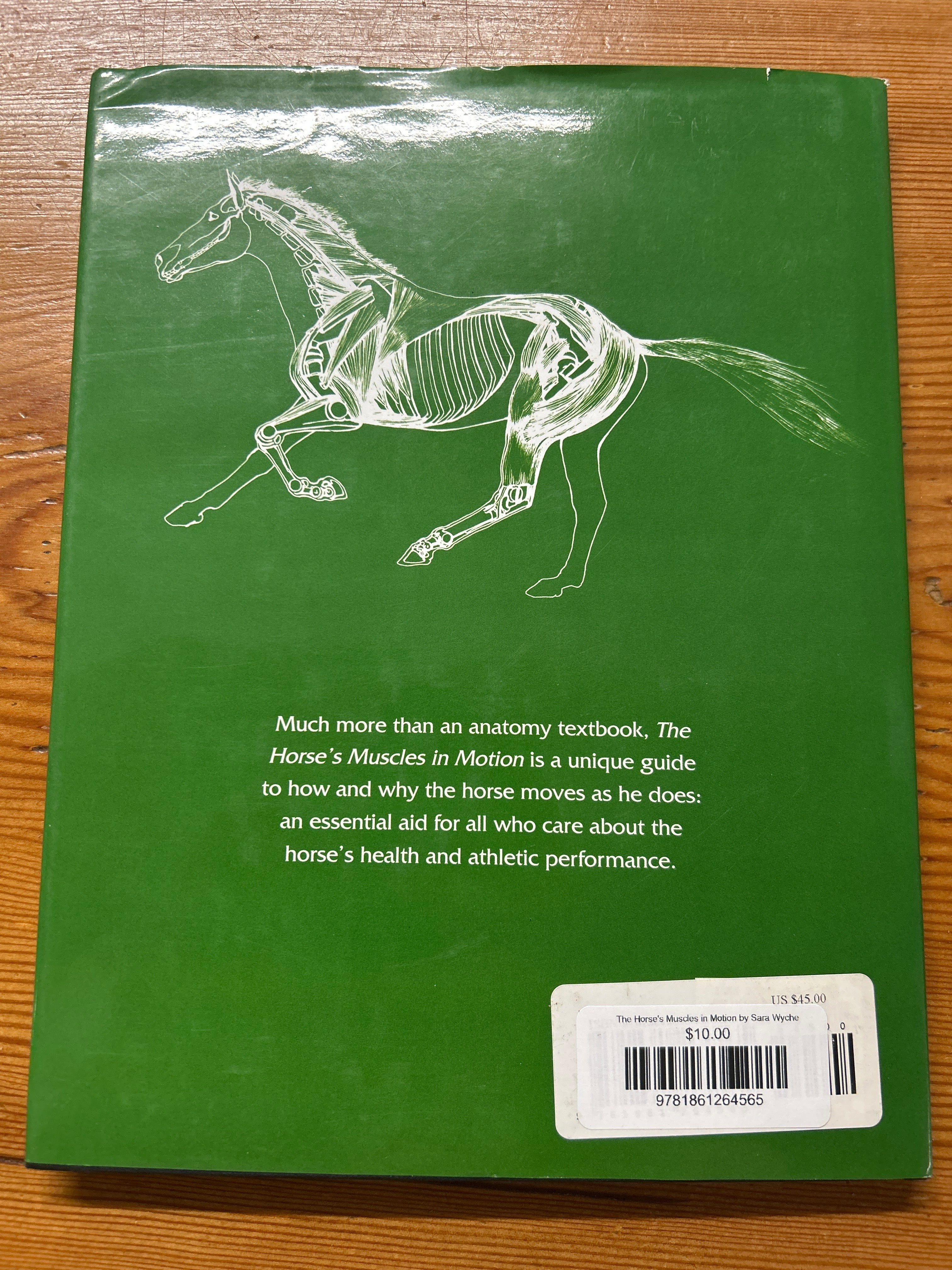 The Horse's Muscles in Motion by Sara Wyche