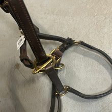 Load image into Gallery viewer, Grooming Leather Halter
