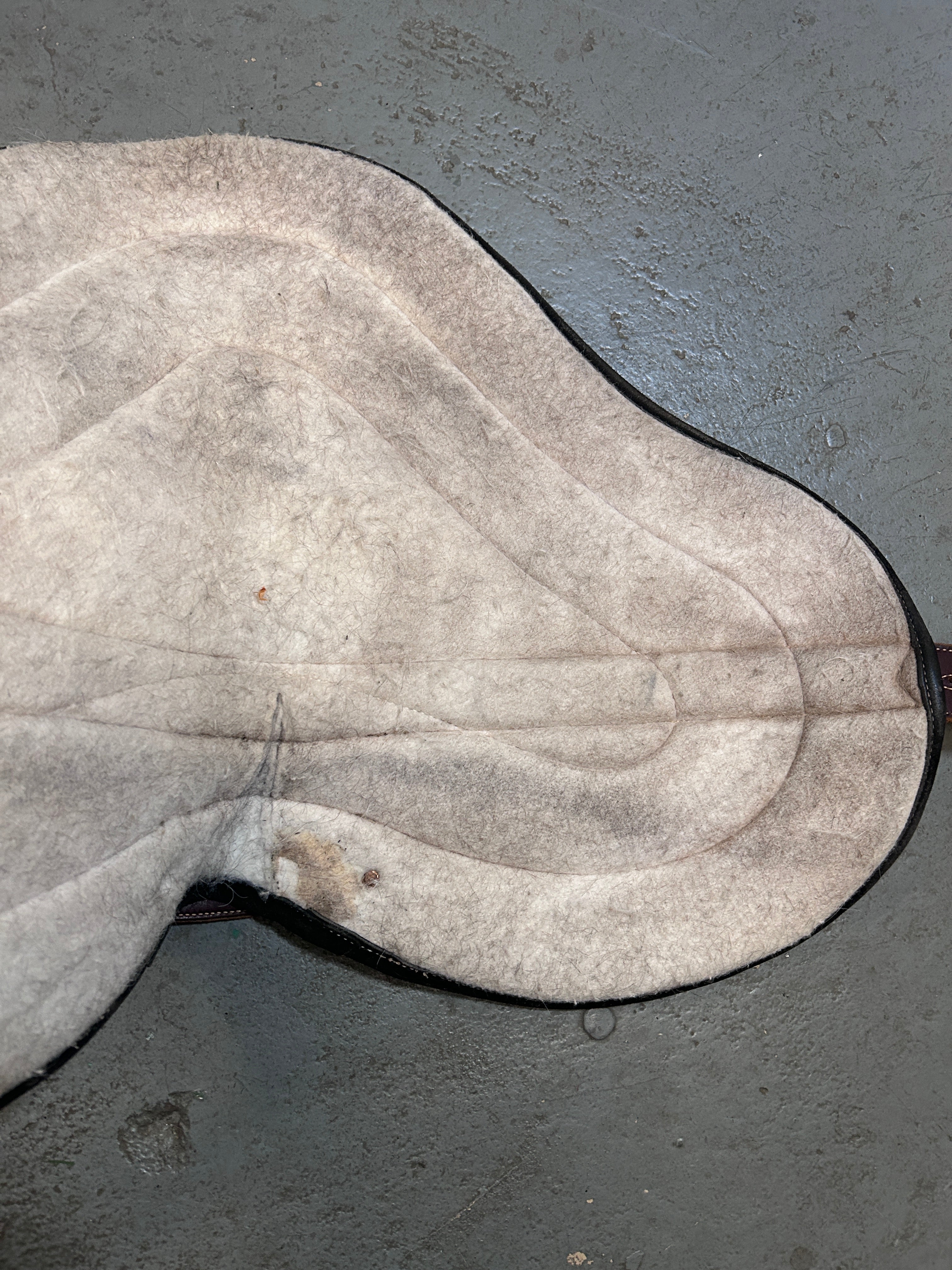 Custom Made Bareback Pad