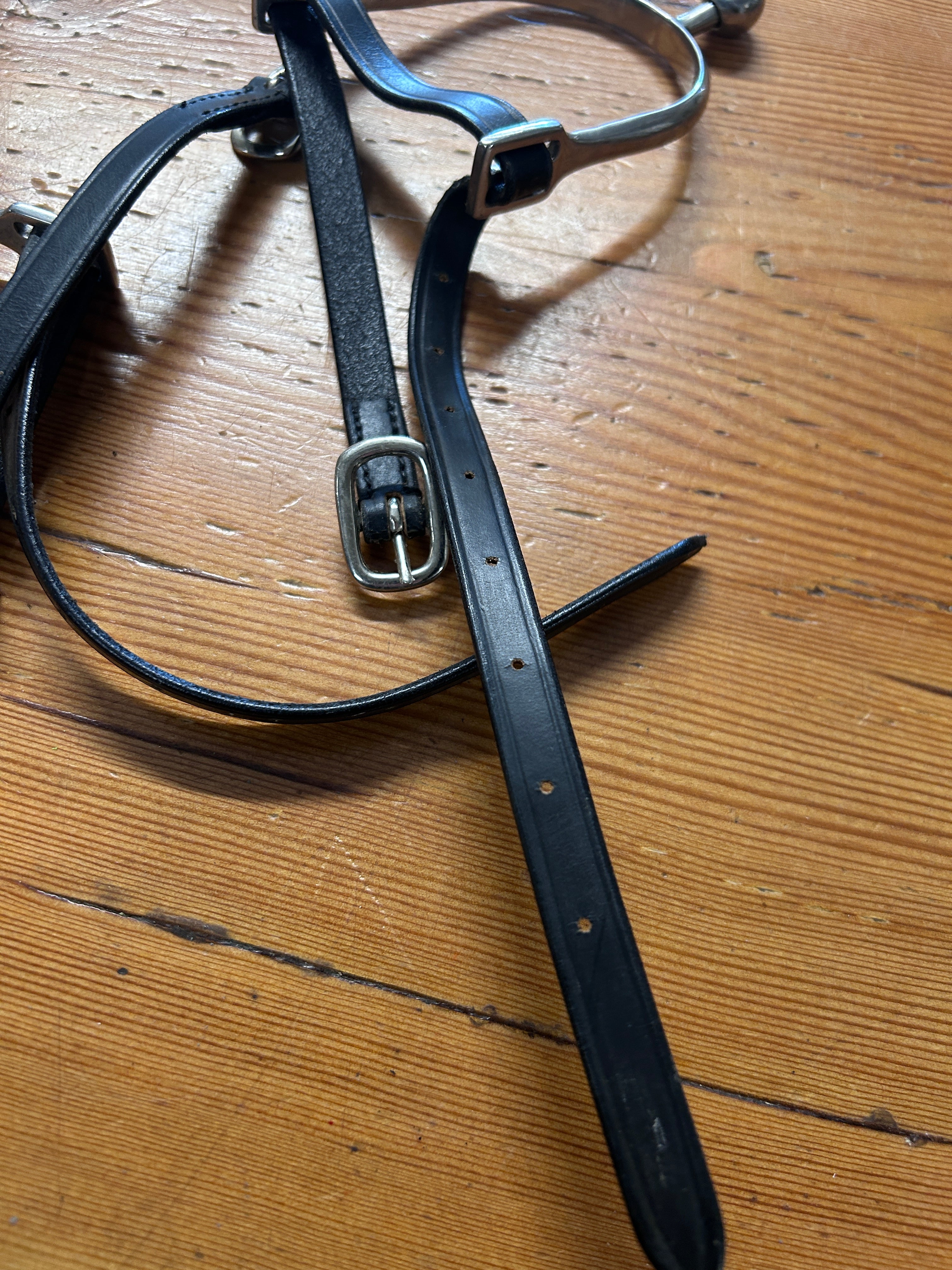 English Ball Spurs with Leather Straps-English Spurs-Consignment-Evolution Equestrian Co.