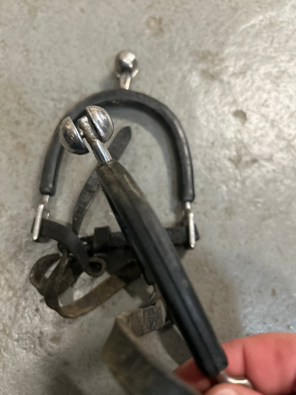 English Ball Spurs with Straps and Guards-Spurs-Consignment-Evolution Equestrian Co.