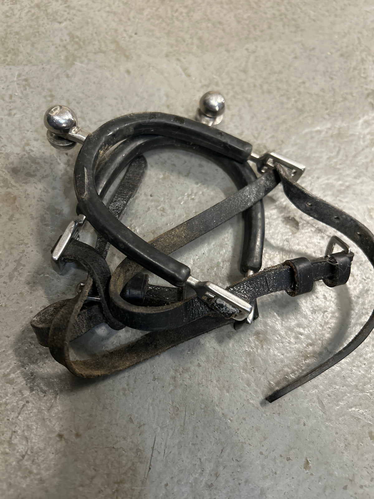 English Ball Spurs with Straps and Guards-Spurs-Consignment-Evolution Equestrian Co.