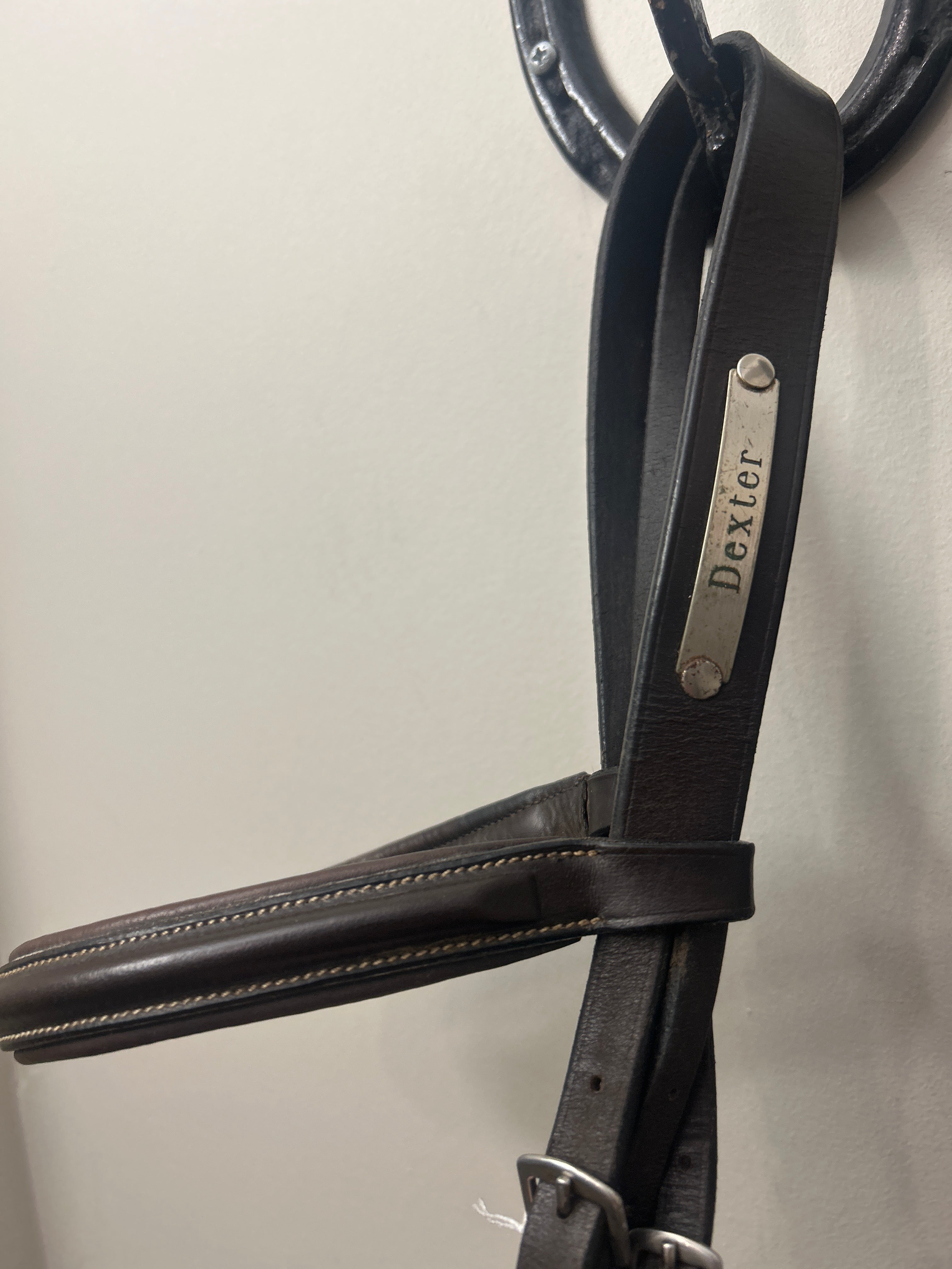 English Bridle with Rubber Reins-Bridle-Consignment-Evolution Equestrian Co.