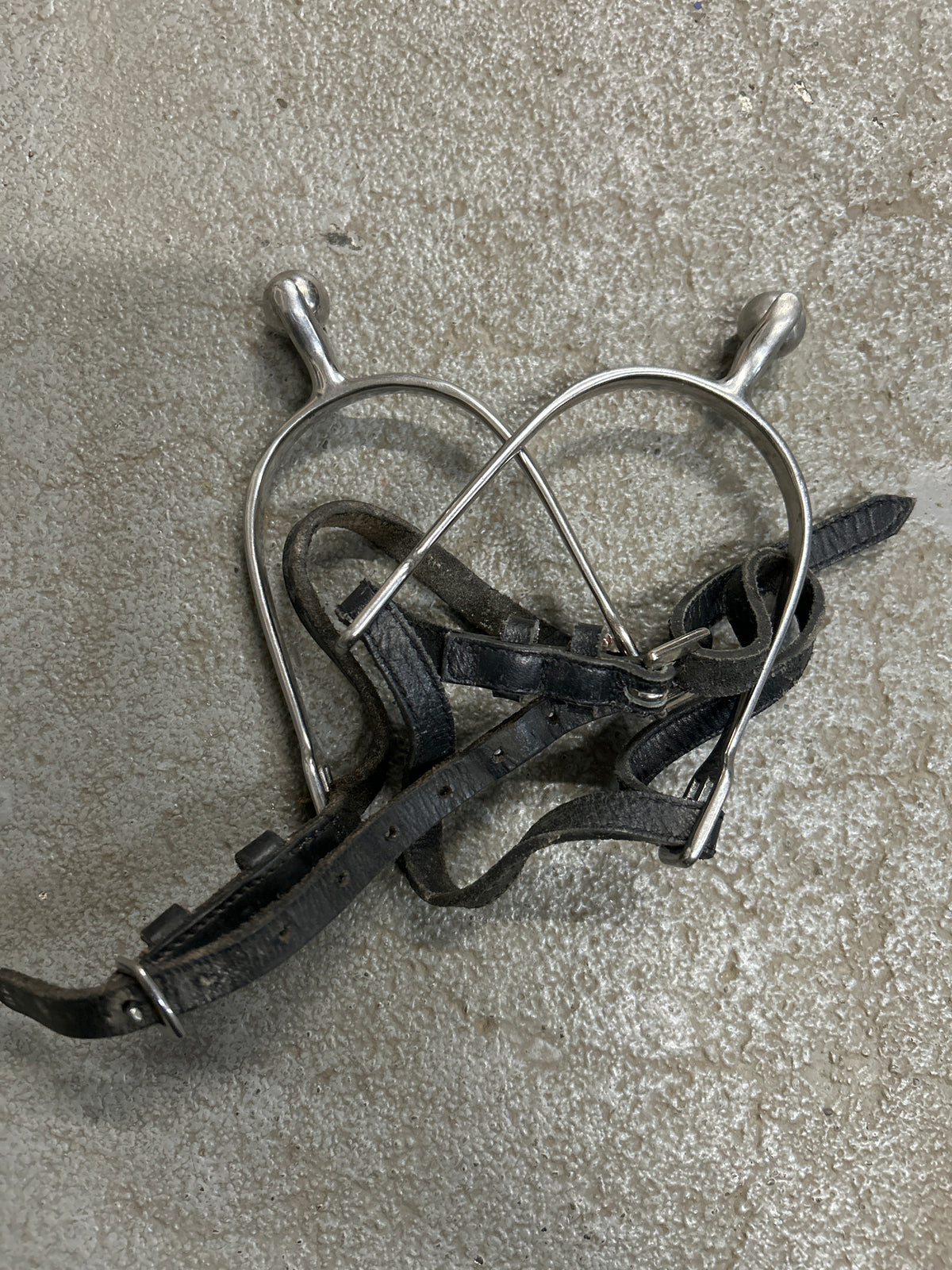 English Roller Ball Spurs with Straps-Spurs-Consignment-Evolution Equestrian Co.