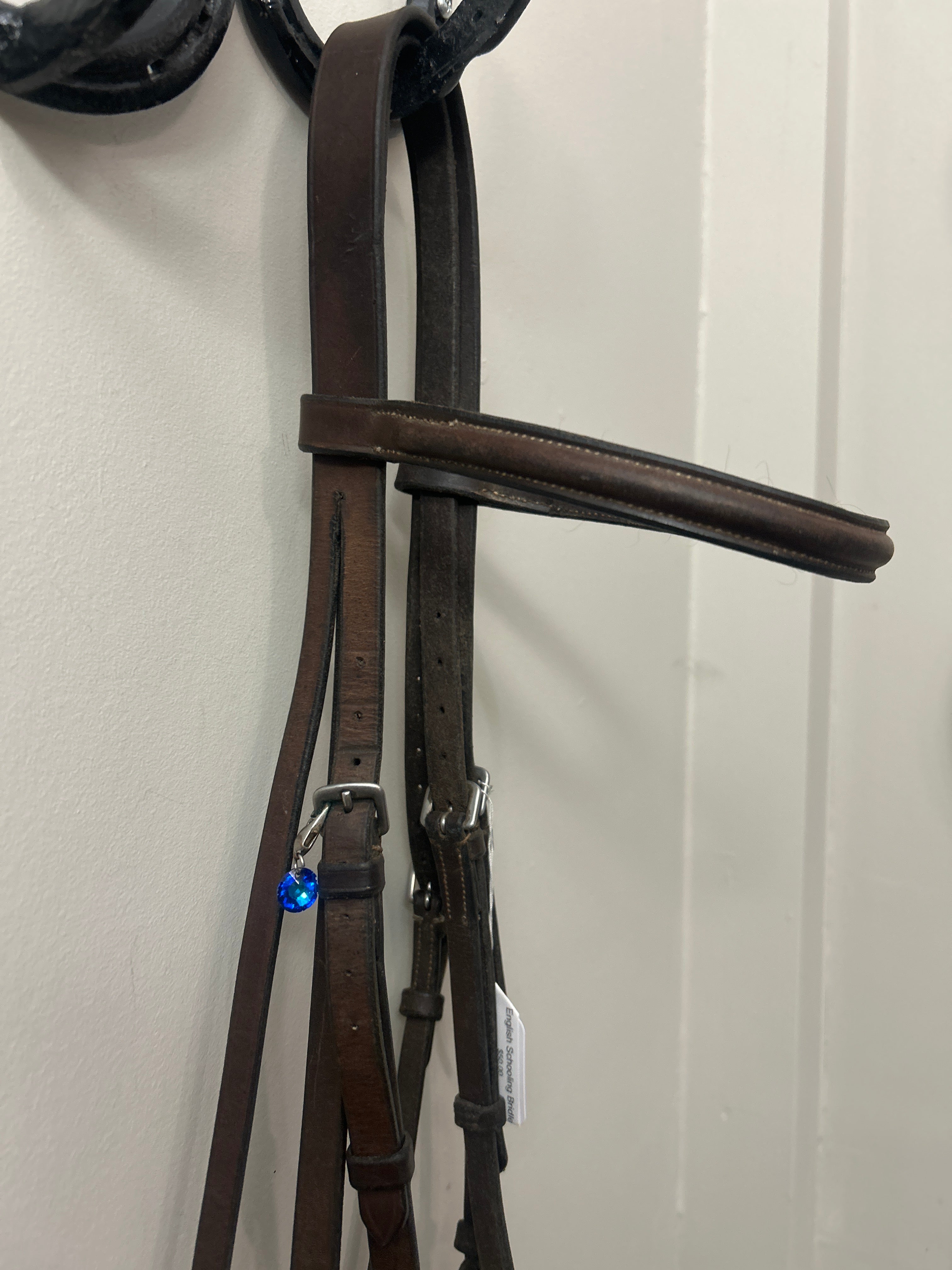 English Schooling Bridle-Bridle-Consignment-Evolution Equestrian Co.