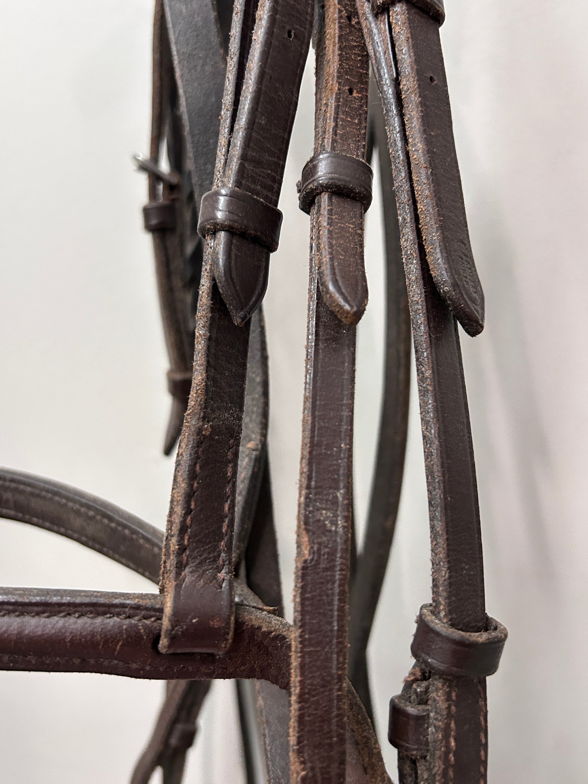 English Schooling Bridle Full-Bridle-Consignment-Evolution Equestrian Co.