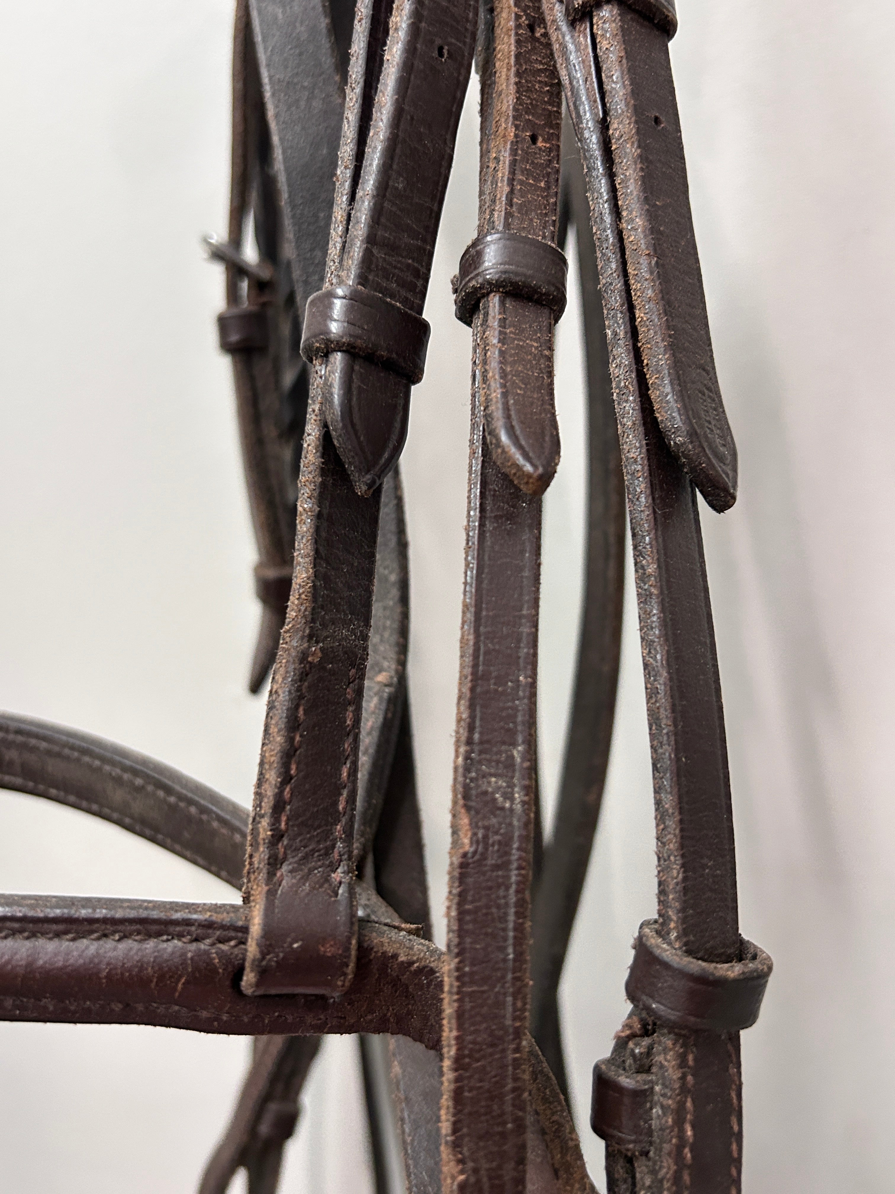 English Schooling Bridle Full-Bridle-Consignment-Evolution Equestrian Co.