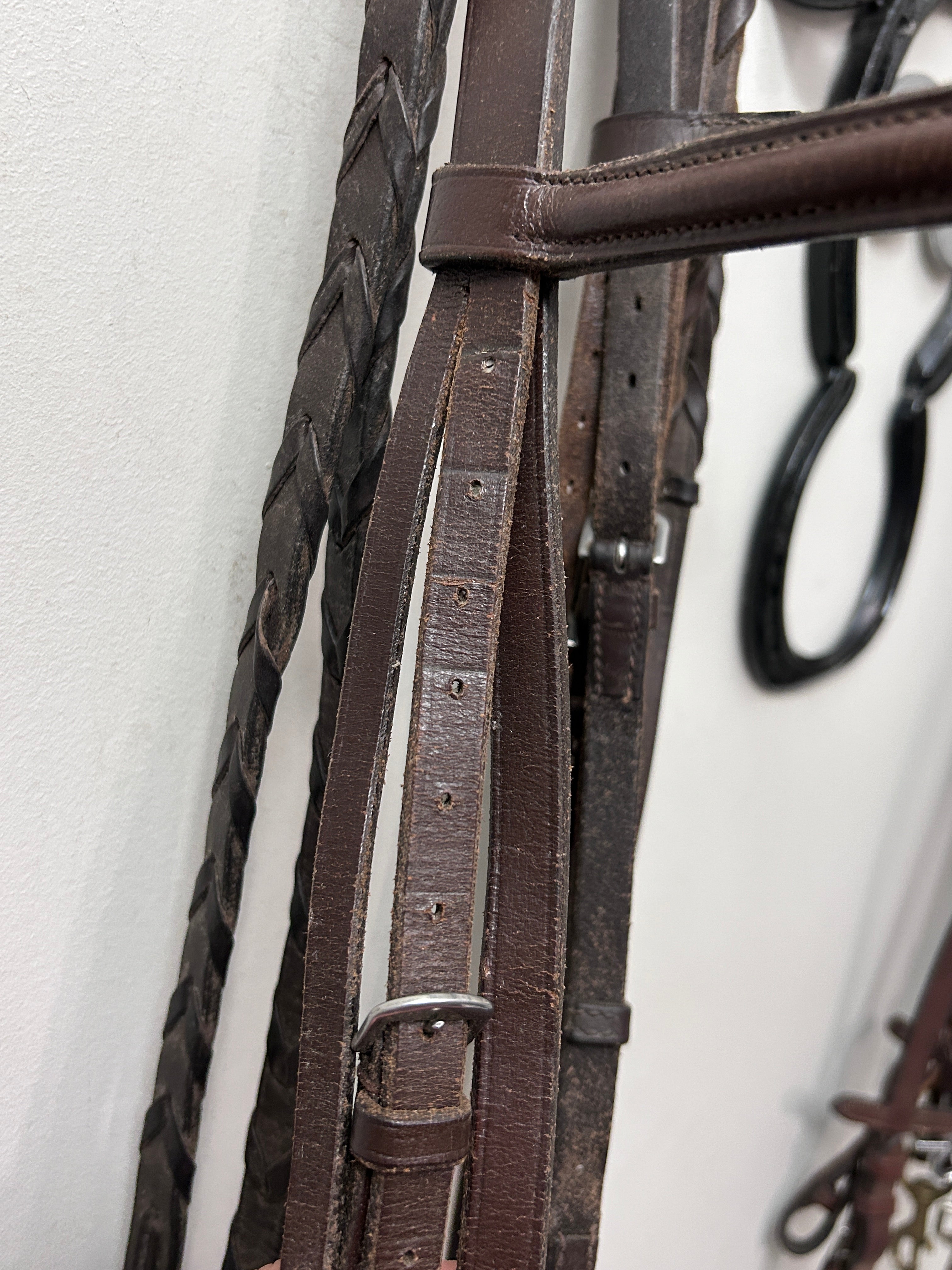 English Schooling Bridle Full-Bridle-Consignment-Evolution Equestrian Co.