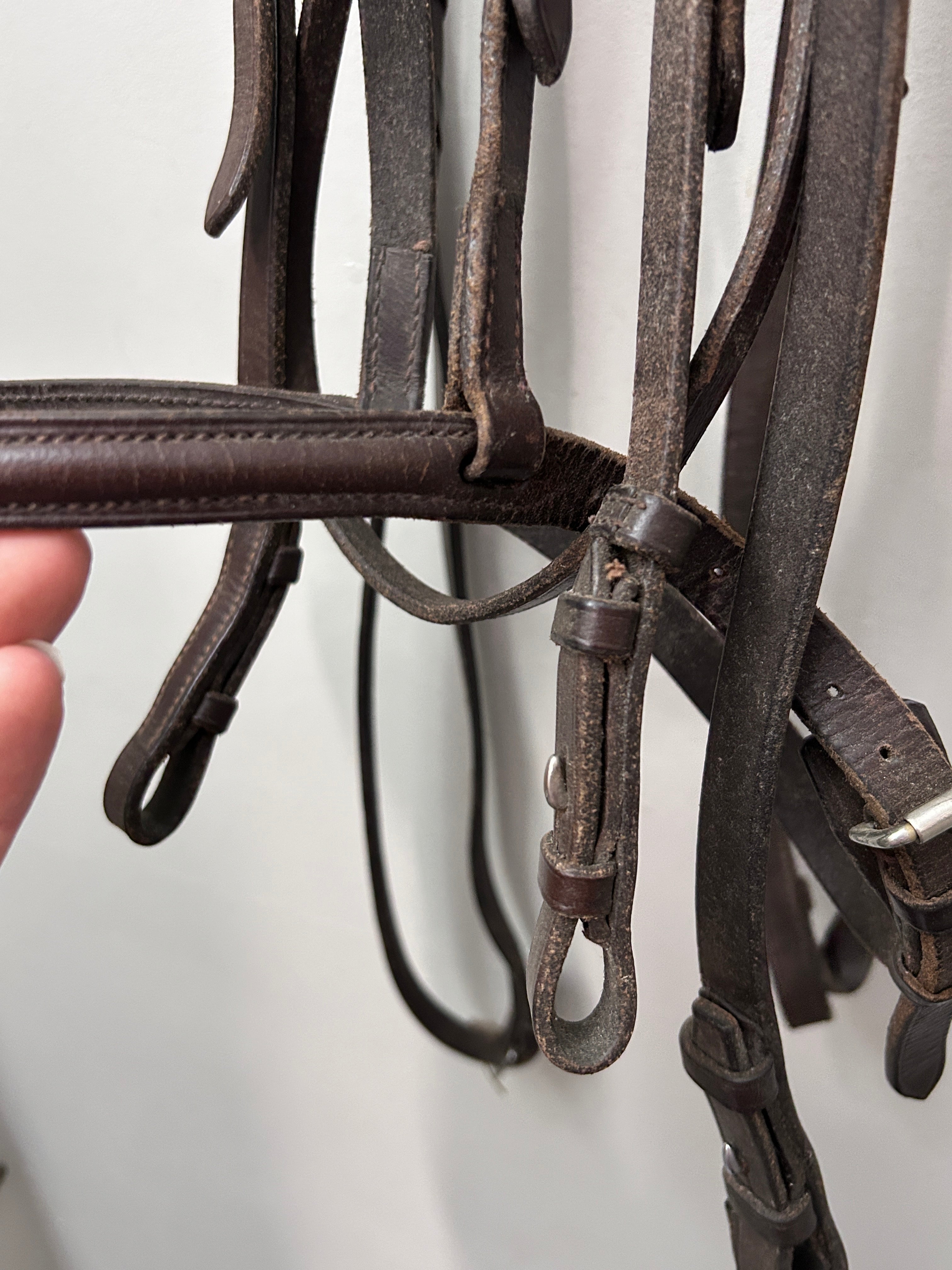 English Schooling Bridle Full-Bridle-Consignment-Evolution Equestrian Co.