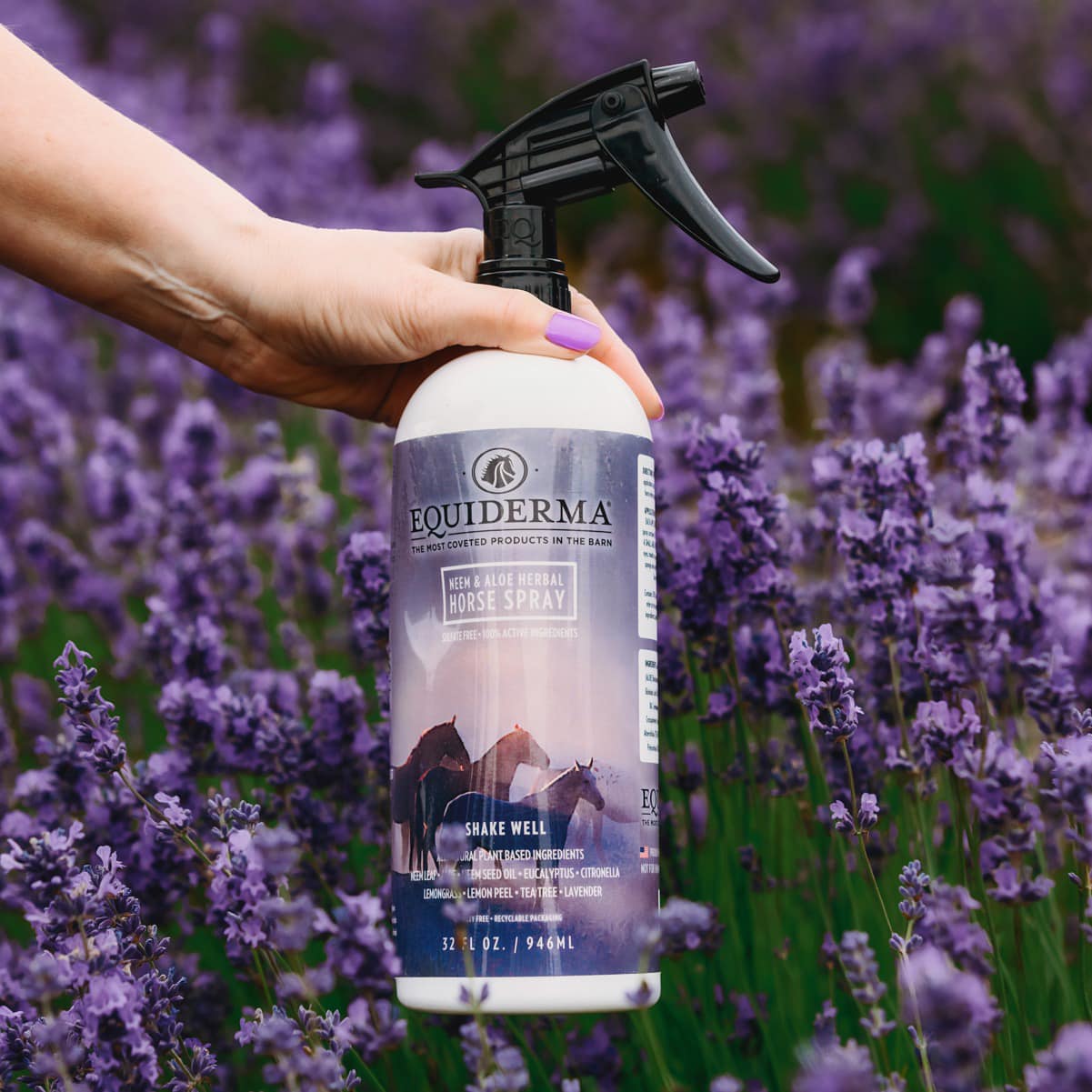 EquiDerma Neem & Aloe Spray-Horse Grooming-Can Pro Equestrian Supply-Evolution Equestrian Co.