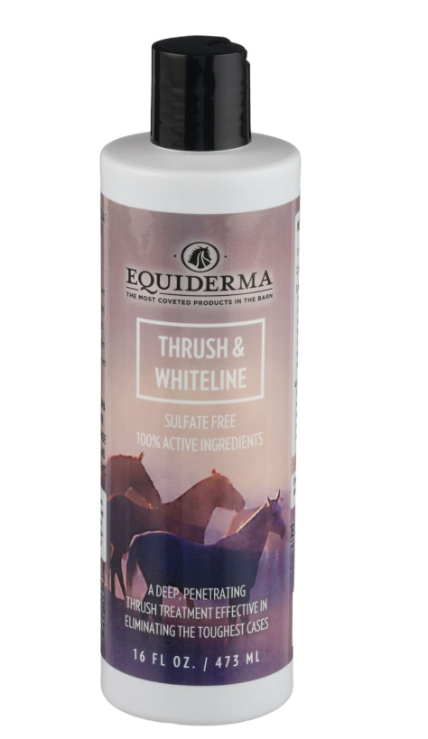 EquiDerma Thrush & White Line Treatment-Horse Care-Can Pro Equestrian Supply-Evolution Equestrian Co.