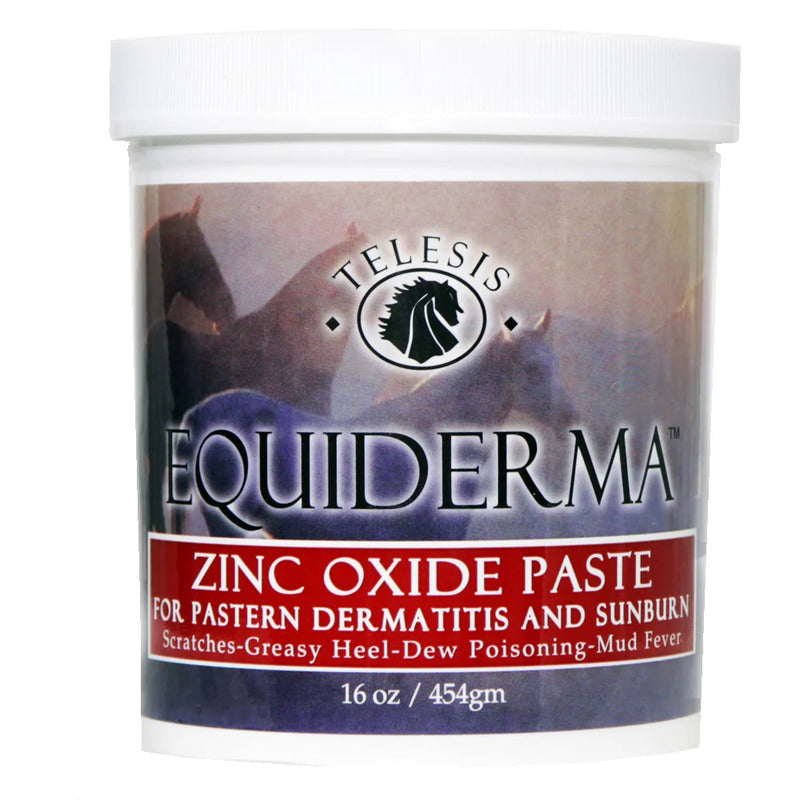 EquiDerma Zinc Paste
