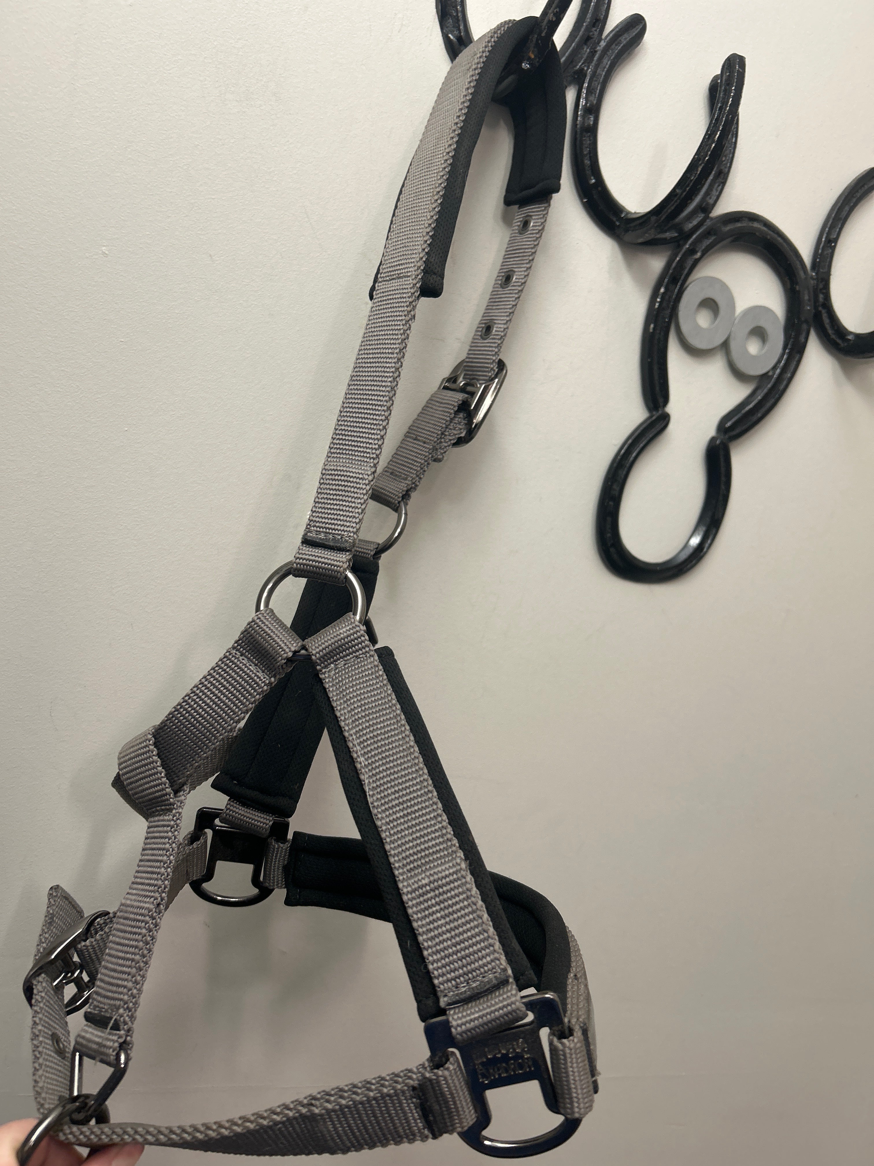 Eskadron Grey Classic Sport Halter with Leadrope-Halter-Consignment-Evolution Equestrian Co.