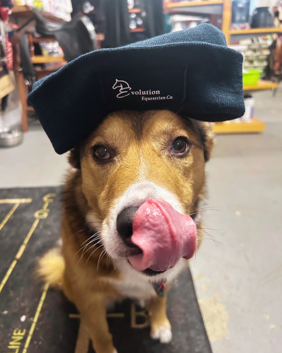 Evolution Equestrian Beanie-Hat-Evolution Equestrian Co.-Evolution Equestrian Co.