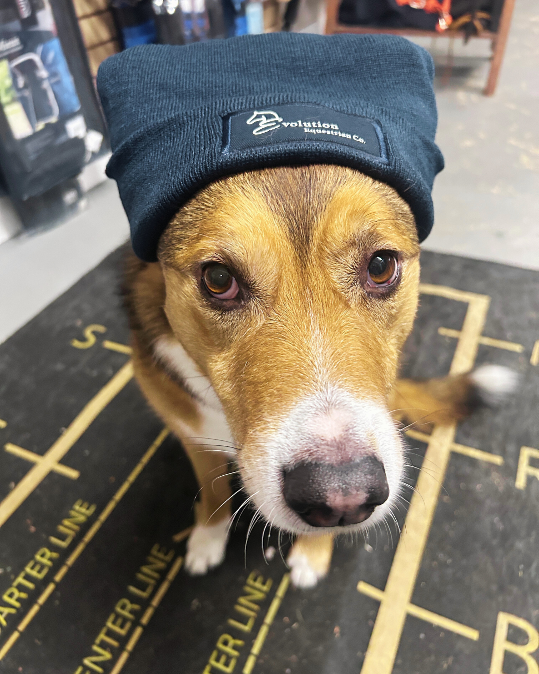 Evolution Equestrian Beanie-Hat-Evolution Equestrian Co.-Evolution Equestrian Co.