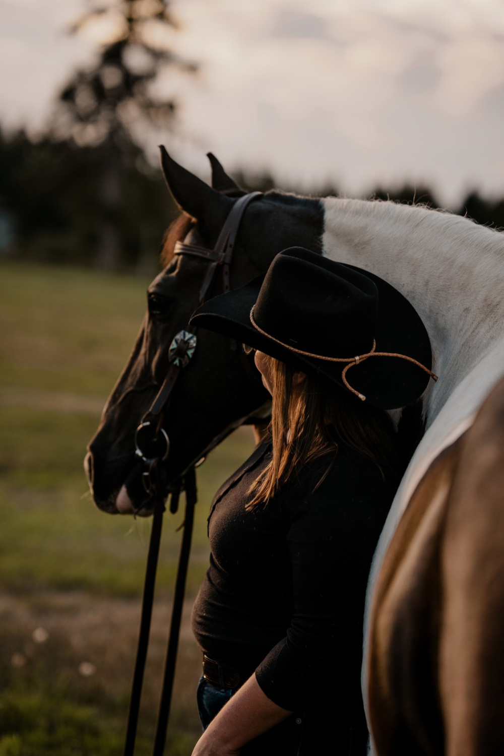 Evolution Equestrian Co.